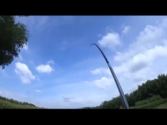 Επικεφαλής Αλιευτικό Πλοίο